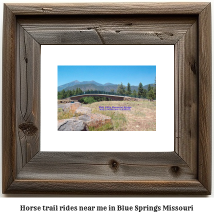 horse trail rides near me in Blue Springs, Missouri